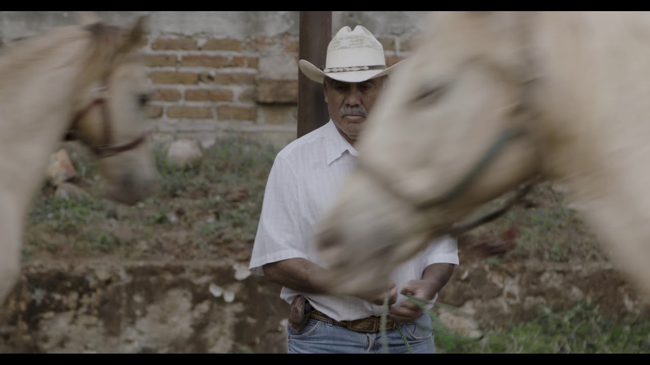 Watch film Horse Wrangler | IDFA 2018 | Trailer | Caballerango