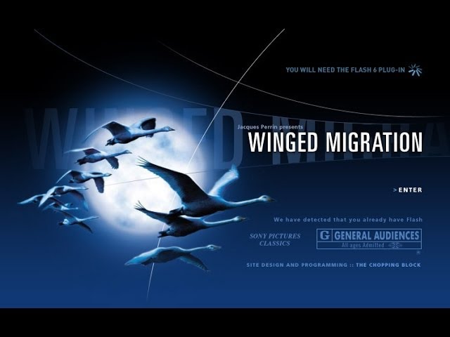 Watch film Winged Migration | Winged Migration - Le Peuple Migrateur | Official Trailer