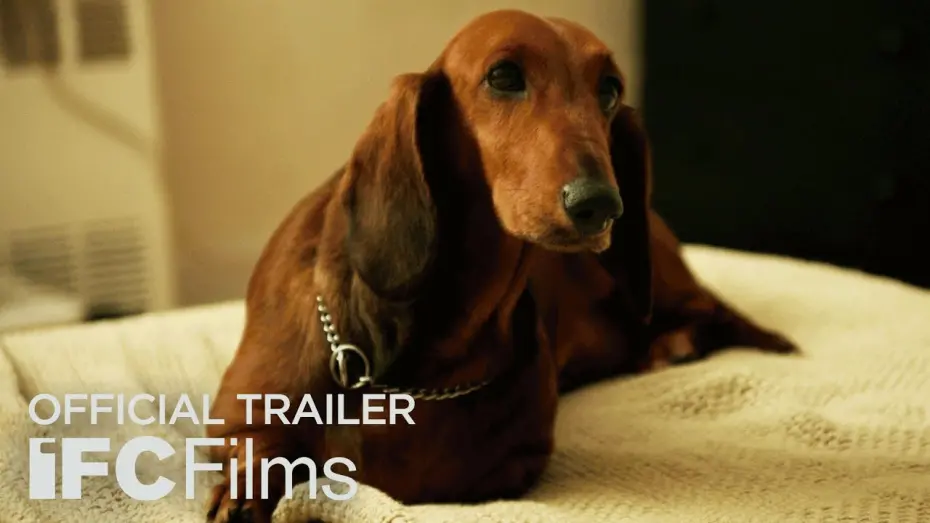 Watch film Wiener-Dog | Official Trailer