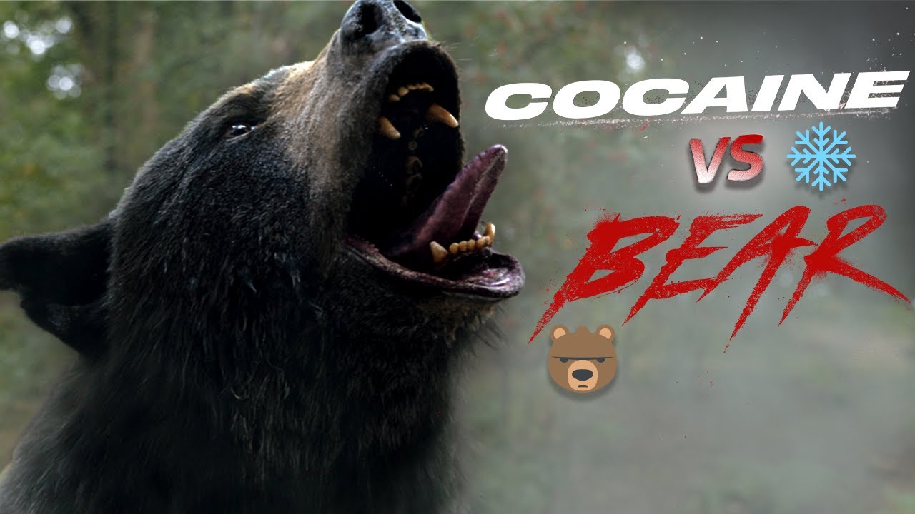 Watch film Cocaine Bear | Cocaine Vs Bear - Who Wins?