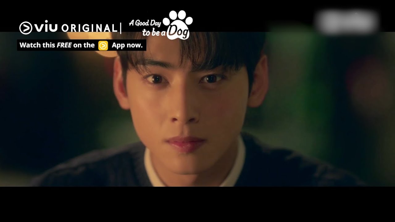 Watch film Dog Days | Will Cha Eun Woo Kiss the Dog Version of Park Gyu Young? 🐶 | Viu Original, A Good Day to be a Dog