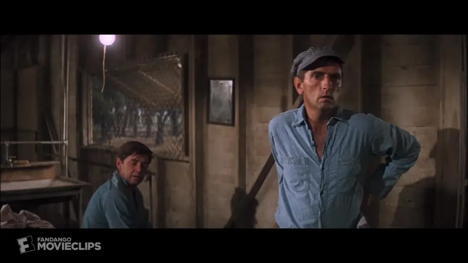 Watch film Cool Hand Luke | A Night in the Box Scene