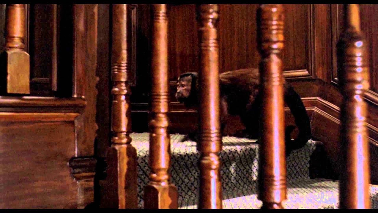 Watch film Monkey Shines | Ella Gets Revenge (1/1) Monkey Shines (1988) HD