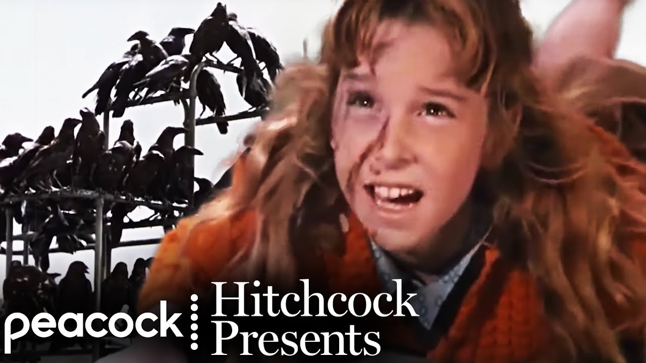 Watch film The Birds | The Crows Attack the School - Scene | The Birds (1963) | Hitchcock Presents