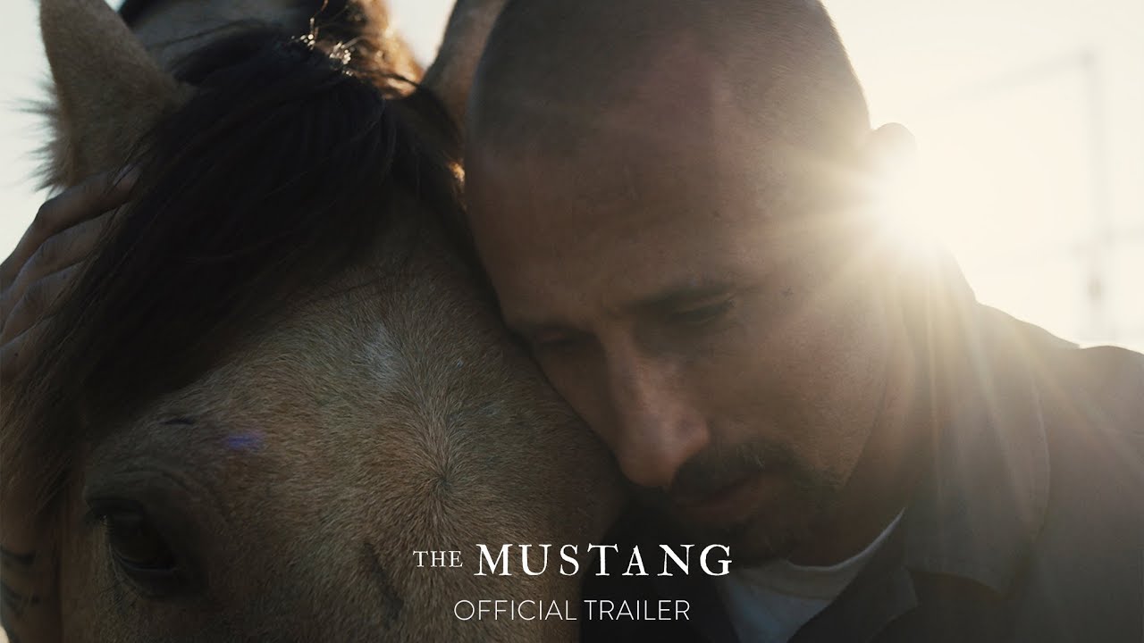 Watch film The Mustang | Official Trailer