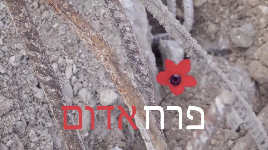 Watch film Red Flower | פרח אדום  טריילר