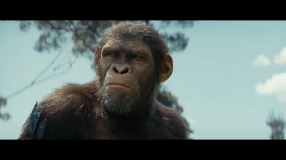 Watch film Kingdom of the Planet of the Apes | Adventure