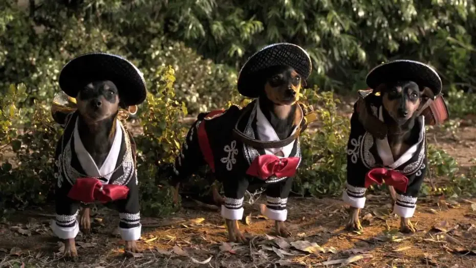 Watch film Beverly Hills Chihuahua 3: Viva la Fiesta! | Beverly Hills Chihuahua 3 Trailer #1