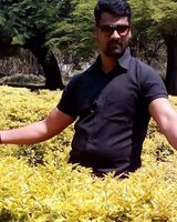 Krishna 