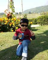 Koyal 