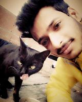 Arman 