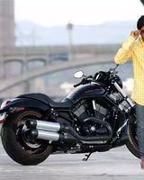 Ankit kamal