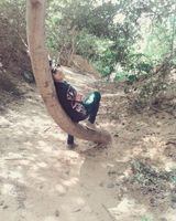 Lokesh Tank