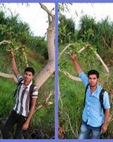 Avi Chandu
