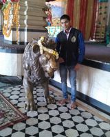 Ankit Kumar