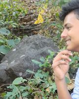 Rahul Ray
