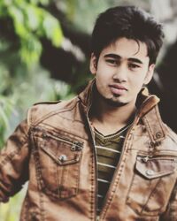 Anis 