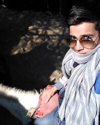 vivek tomar