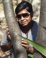 Pijus Nandi