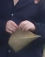 Gaurav 