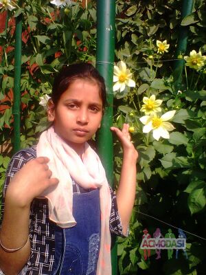 Rajveer Kaur Gill photo №122793. Uploaded 09 June 2020